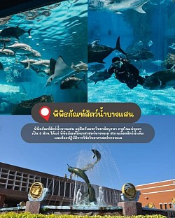 ✅พิพิธภัณฑ์สัตว์น้ำบางแสน พิพิธภัณฑ์สัตว์น้ำบางแสน อยู่ติดกับมหาวิทยาลัยบูรพา ภายในแบ่งออกเป็น 3 ส่วน ได้แก่ พิพิธภัณฑ์วิทยาศาสตร์ทางทะเล สถานเลี้ยงสัตว์น้ำเค็ม และห้องปฏิบัติการวิจัยวิทยาศาสตร์ทางทะเล